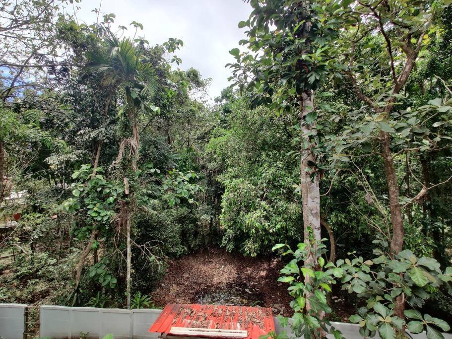 Anandam Stays - Premium 3Bhk Plush Homestay, Vaikom Near Kumarakom Eksteriør billede