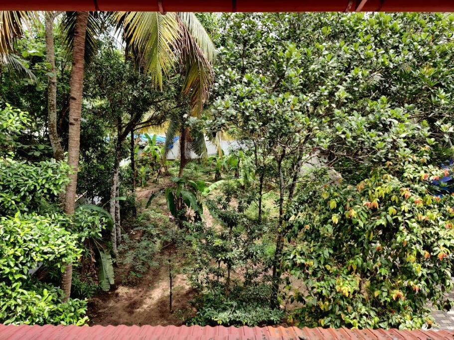Anandam Stays - Premium 3Bhk Plush Homestay, Vaikom Near Kumarakom Eksteriør billede